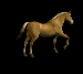 fjordský kůň.gif